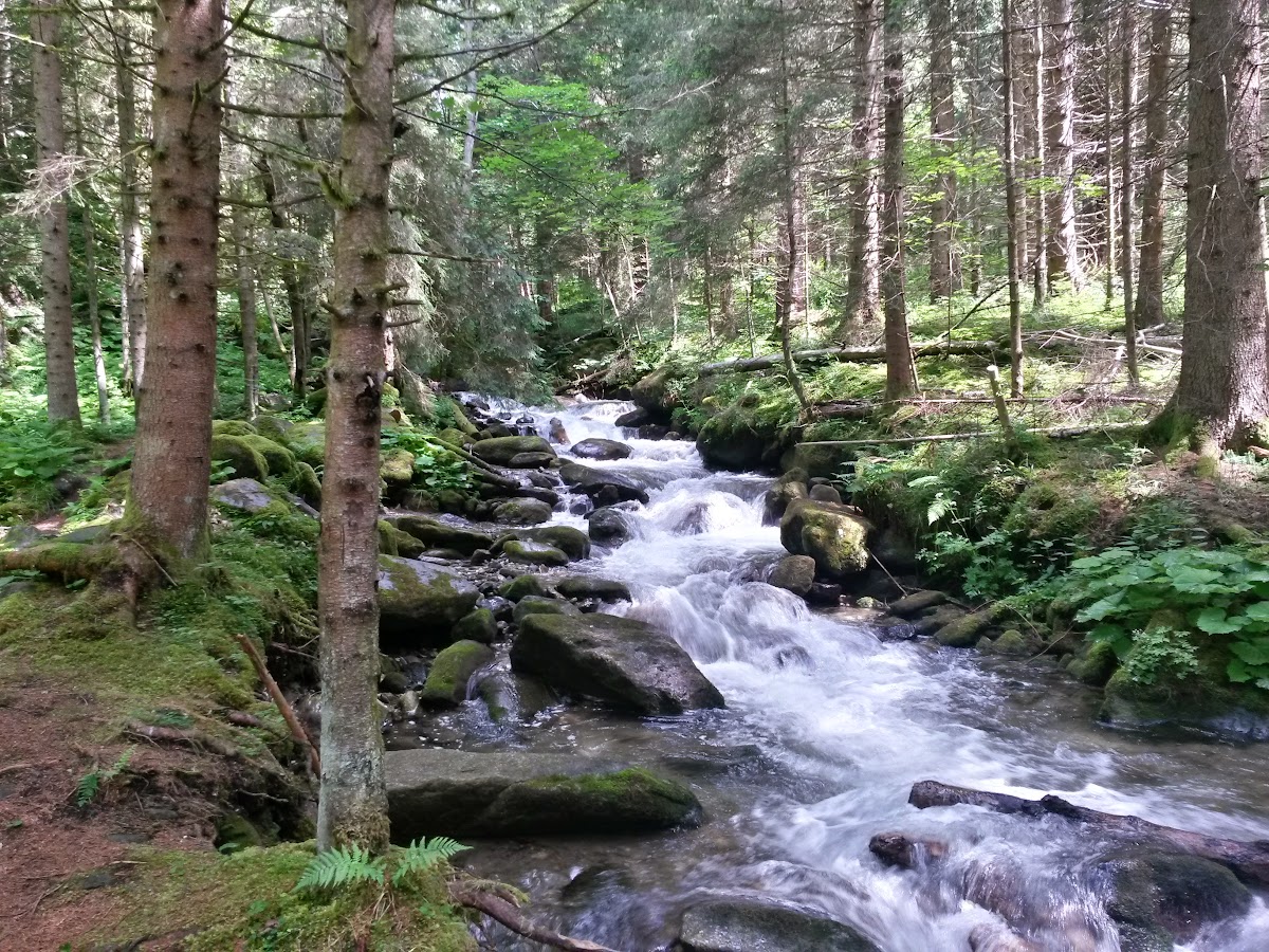 lh3.googleusercontent.com_-gghe22udz4y_vyptvcxol8i_aaaaaaaaky4_uef73hjsl5c_w1200-h900-no_20150619_112408_richtone_2528hdr_2529.jpg lh3.googleusercontent.com_-gghe22udz4y_vyptvcxol8i_aaaaaaaaky4_uef73hjsl5c_w1200-h900-no_20150619_112408_richtone_2528hdr_2529.jpg