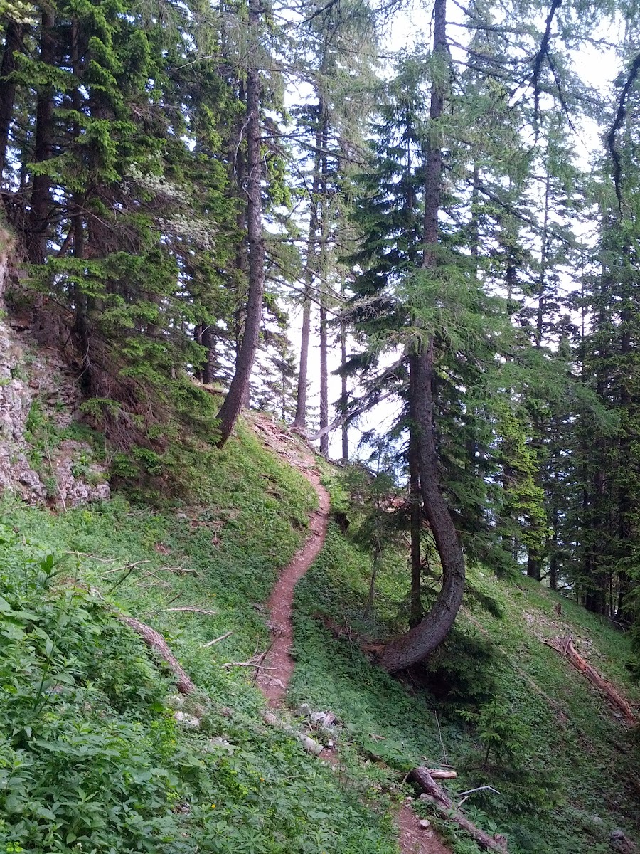 lh6.googleusercontent.com_-dws8mbydqho_ucwntqkyjqi_aaaaaaaan38_rekyjjr579c_w900-h1200-no_img_20130622_083933.jpg lh6.googleusercontent.com_-dws8mbydqho_ucwntqkyjqi_aaaaaaaan38_rekyjjr579c_w900-h1200-no_img_20130622_083933.jpg