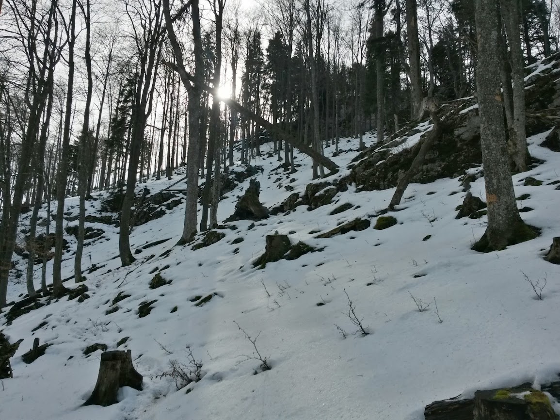 lh4.googleusercontent.com_-hpz6hqfyv3e_uv_dm6q8kdi_aaaaaaaavo8_vegmlrl79my_w1155-h866-no_20140215_115109_richtone_2528hdr_2529.jpg lh4.googleusercontent.com_-hpz6hqfyv3e_uv_dm6q8kdi_aaaaaaaavo8_vegmlrl79my_w1155-h866-no_20140215_115109_richtone_2528hdr_2529.jpg