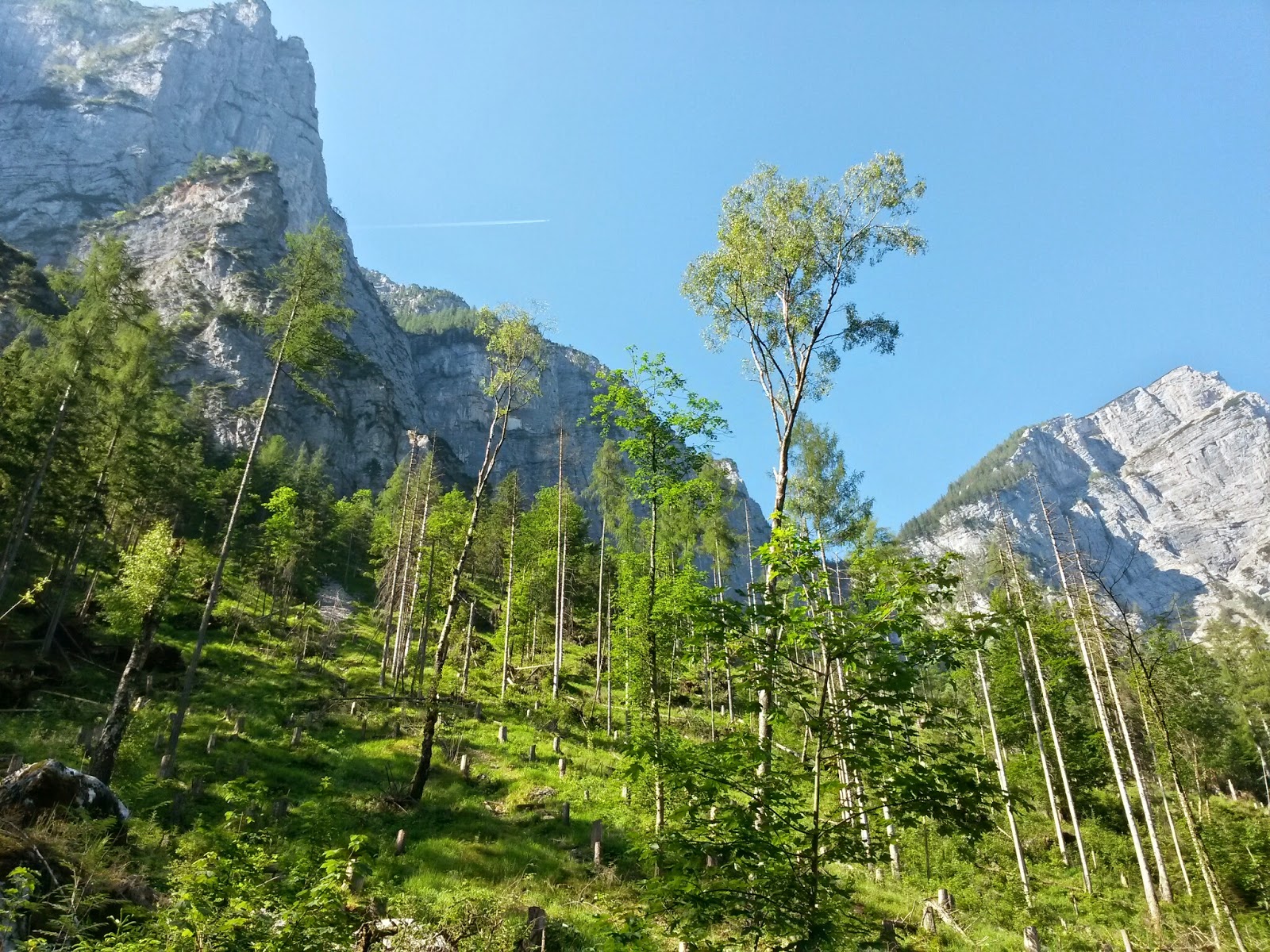 lh5.googleusercontent.com_-tmdfjt06yu4_u5ckdlifrxi_aaaaaaaazn0_vahpdttqcpy_w1600-h1200-no_20140610_085845_richtone_2528hdr_2529.jpg lh5.googleusercontent.com_-tmdfjt06yu4_u5ckdlifrxi_aaaaaaaazn0_vahpdttqcpy_w1600-h1200-no_20140610_085845_richtone_2528hdr_2529.jpg