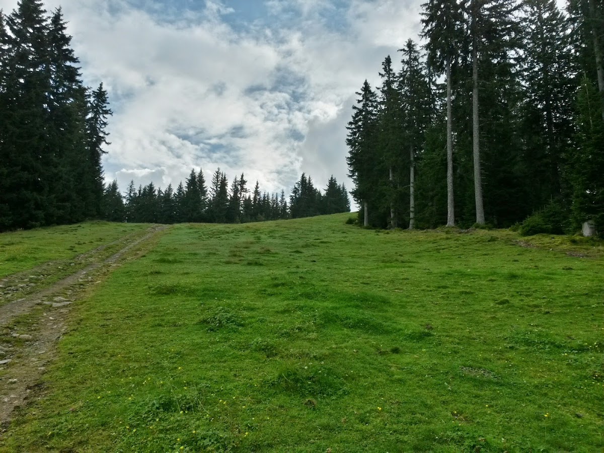 lh6.googleusercontent.com_-3tfusmao1ge_vbbkkttfr6i_aaaaaaaac7s_qvhrpabuv0u_w1200-h900-no_20140910_094351_richtone_28hdr_29.jpg lh6.googleusercontent.com_-3tfusmao1ge_vbbkkttfr6i_aaaaaaaac7s_qvhrpabuv0u_w1200-h900-no_20140910_094351_richtone_28hdr_29.jpg