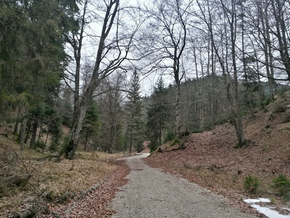 lh4.googleusercontent.com_-e0dalokp7nw_vmotzq6sili_aaaaaaaaheo_fvu7m-o89v4_w1209-h907-no_20150124_094743_richtone_28hdr_29.jpg lh4.googleusercontent.com_-e0dalokp7nw_vmotzq6sili_aaaaaaaaheo_fvu7m-o89v4_w1209-h907-no_20150124_094743_richtone_28hdr_29.jpg