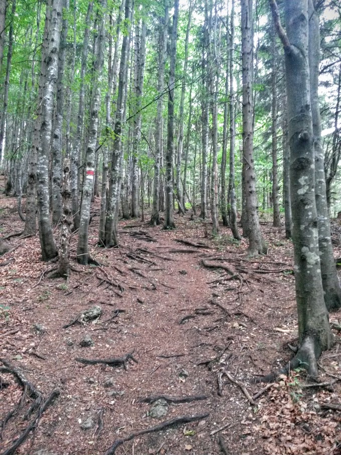 lh4.googleusercontent.com_-puetnjcfhdo_vbnnn3owj2i_aaaaaaaamz8_gsdwmnipogs_w680-h907-no_20150725_074129_richtone_2528hdr_2529.jpg lh4.googleusercontent.com_-puetnjcfhdo_vbnnn3owj2i_aaaaaaaamz8_gsdwmnipogs_w680-h907-no_20150725_074129_richtone_2528hdr_2529.jpg