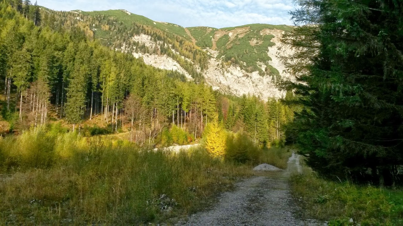 lh5.googleusercontent.com_-gqq2mabhkgg_umktmbmi4hi_aaaaaaaarhe_d_jk77o1yfe_w1353-h761-no_20131019_083853.jpg lh5.googleusercontent.com_-gqq2mabhkgg_umktmbmi4hi_aaaaaaaarhe_d_jk77o1yfe_w1353-h761-no_20131019_083853.jpg