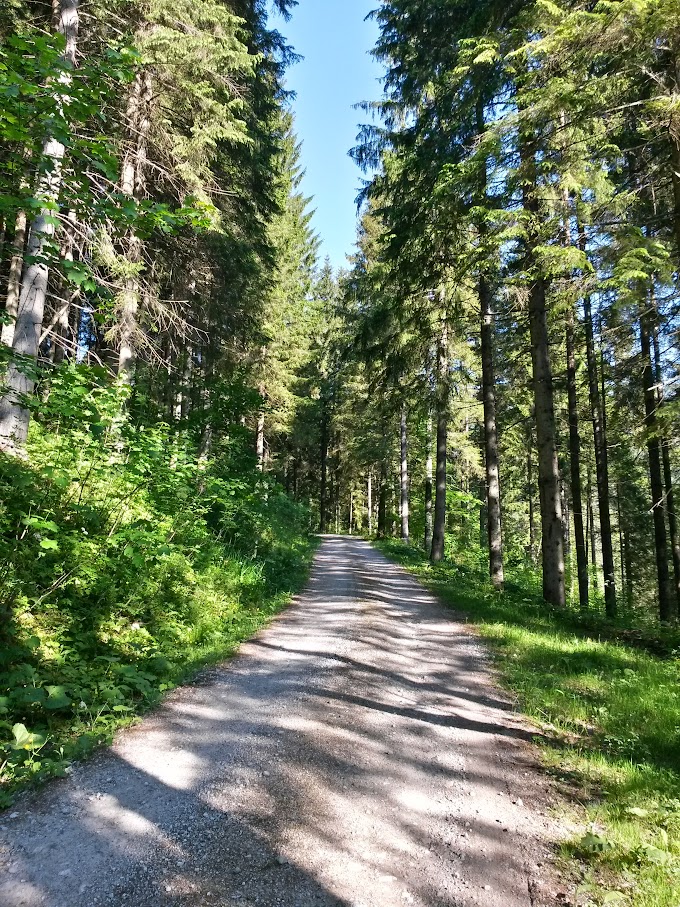 lh6.googleusercontent.com_-8ohgrq_glnm_vxl_cqsvdti_aaaaaaaajzq_rumlcs1z3zw_w680-h907-no_20150606_080338_richtone_2528hdr_2529.jpg lh6.googleusercontent.com_-8ohgrq_glnm_vxl_cqsvdti_aaaaaaaajzq_rumlcs1z3zw_w680-h907-no_20150606_080338_richtone_2528hdr_2529.jpg