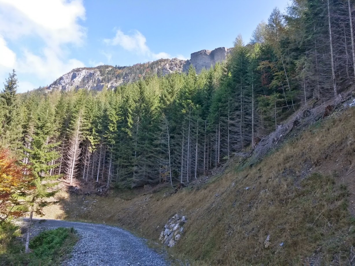 lh5.googleusercontent.com_-yql3a9jj-x8_vdbbwaenywi_aaaaaaaaebe_5lt_pzspilq_w1228-h921-no_20141004_130451_richtone_28hdr_29.jpg lh5.googleusercontent.com_-yql3a9jj-x8_vdbbwaenywi_aaaaaaaaebe_5lt_pzspilq_w1228-h921-no_20141004_130451_richtone_28hdr_29.jpg