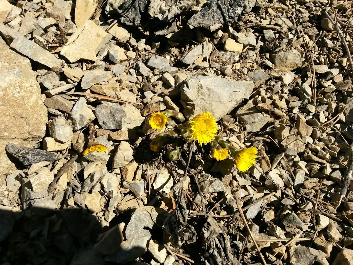 lh6.googleusercontent.com_-2ozauhordry_uxg5nbnms3i_aaaaaaaavgm_vlophlvkm38_w1155-h866-no_20140301_103704_richtone_2528hdr_2529.jpg lh6.googleusercontent.com_-2ozauhordry_uxg5nbnms3i_aaaaaaaavgm_vlophlvkm38_w1155-h866-no_20140301_103704_richtone_2528hdr_2529.jpg