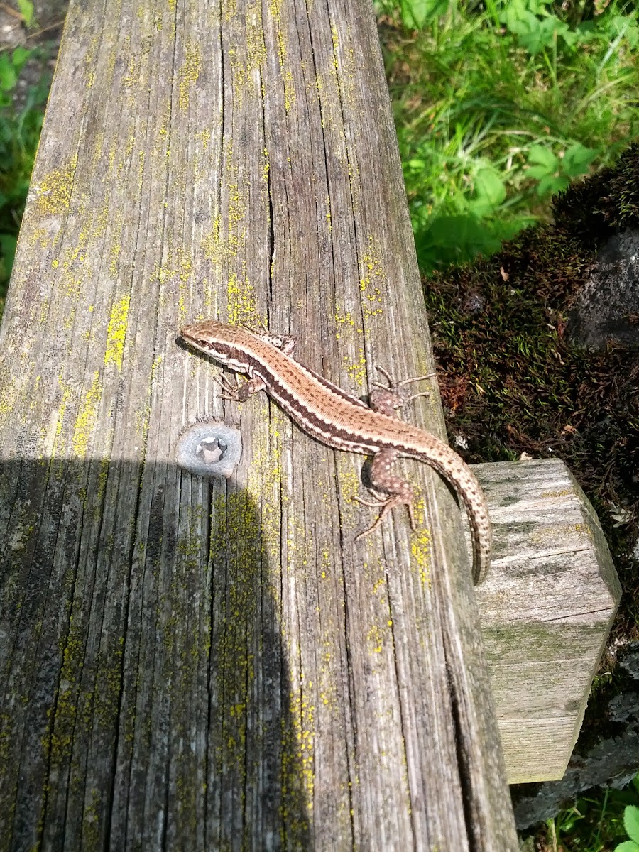 lh6.googleusercontent.com_-_aghwfzhvzo_ueqyxlkzqfi_aaaaaaaaojw_xe-sm8ho2ks_w1600-h1200-no_img_20130720_122445.jpg lh6.googleusercontent.com_-_aghwfzhvzo_ueqyxlkzqfi_aaaaaaaaojw_xe-sm8ho2ks_w1600-h1200-no_img_20130720_122445.jpg