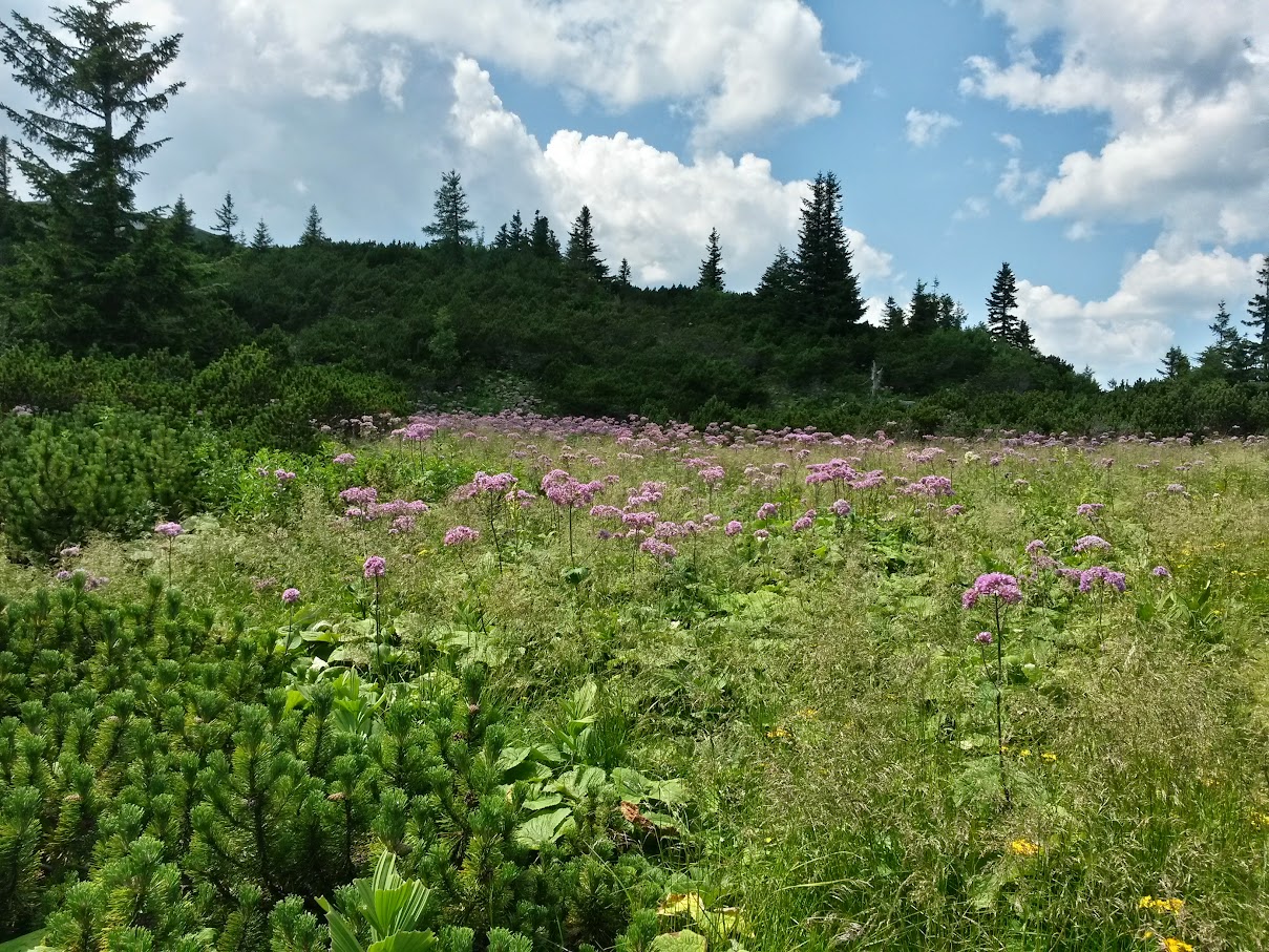 lh4.googleusercontent.com_-i2lm6iegamu_vaqcqqynwhi_aaaaaaaamvg_0_xb2xdal2k_w1209-h907-no_20150718_142600_richtone_2528hdr_2529.jpg lh4.googleusercontent.com_-i2lm6iegamu_vaqcqqynwhi_aaaaaaaamvg_0_xb2xdal2k_w1209-h907-no_20150718_142600_richtone_2528hdr_2529.jpg