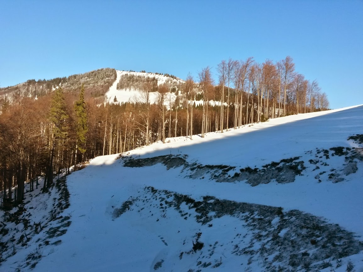 lh5.googleusercontent.com_-ynloarw_ssm_uq3wfneqkki_aaaaaaaathq_hcsc5tplh7c_w1155-h866-no_20131215_105058_richtone_2528hdr_2529.jpg lh5.googleusercontent.com_-ynloarw_ssm_uq3wfneqkki_aaaaaaaathq_hcsc5tplh7c_w1155-h866-no_20131215_105058_richtone_2528hdr_2529.jpg