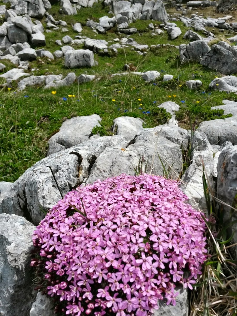 lh5.googleusercontent.com_-ev6djiay_ei_u6g_rce8gei_aaaaaaaaawc_w0hrsz3uiz0_w900-h1200-no_20140618_121349_richtone_2528hdr_2529.jpg lh5.googleusercontent.com_-ev6djiay_ei_u6g_rce8gei_aaaaaaaaawc_w0hrsz3uiz0_w900-h1200-no_20140618_121349_richtone_2528hdr_2529.jpg