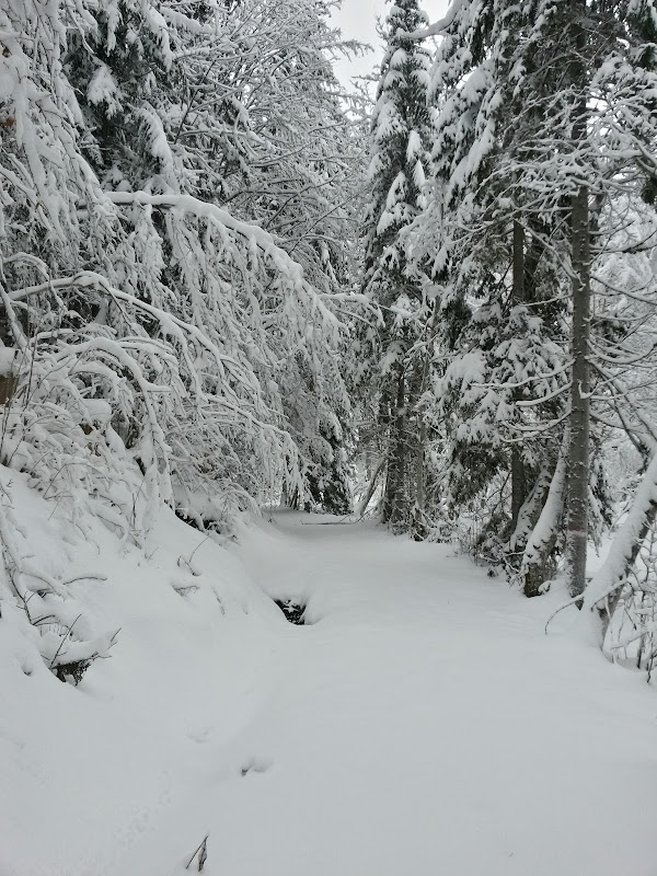 lh6.googleusercontent.com_-ismxjvdpxvo_uqmwxyevasi_aaaaaaaatac_0nekppzuiam_w600-h800-no_20131207_103505_richtone_2528hdr_2529.jpg lh6.googleusercontent.com_-ismxjvdpxvo_uqmwxyevasi_aaaaaaaatac_0nekppzuiam_w600-h800-no_20131207_103505_richtone_2528hdr_2529.jpg