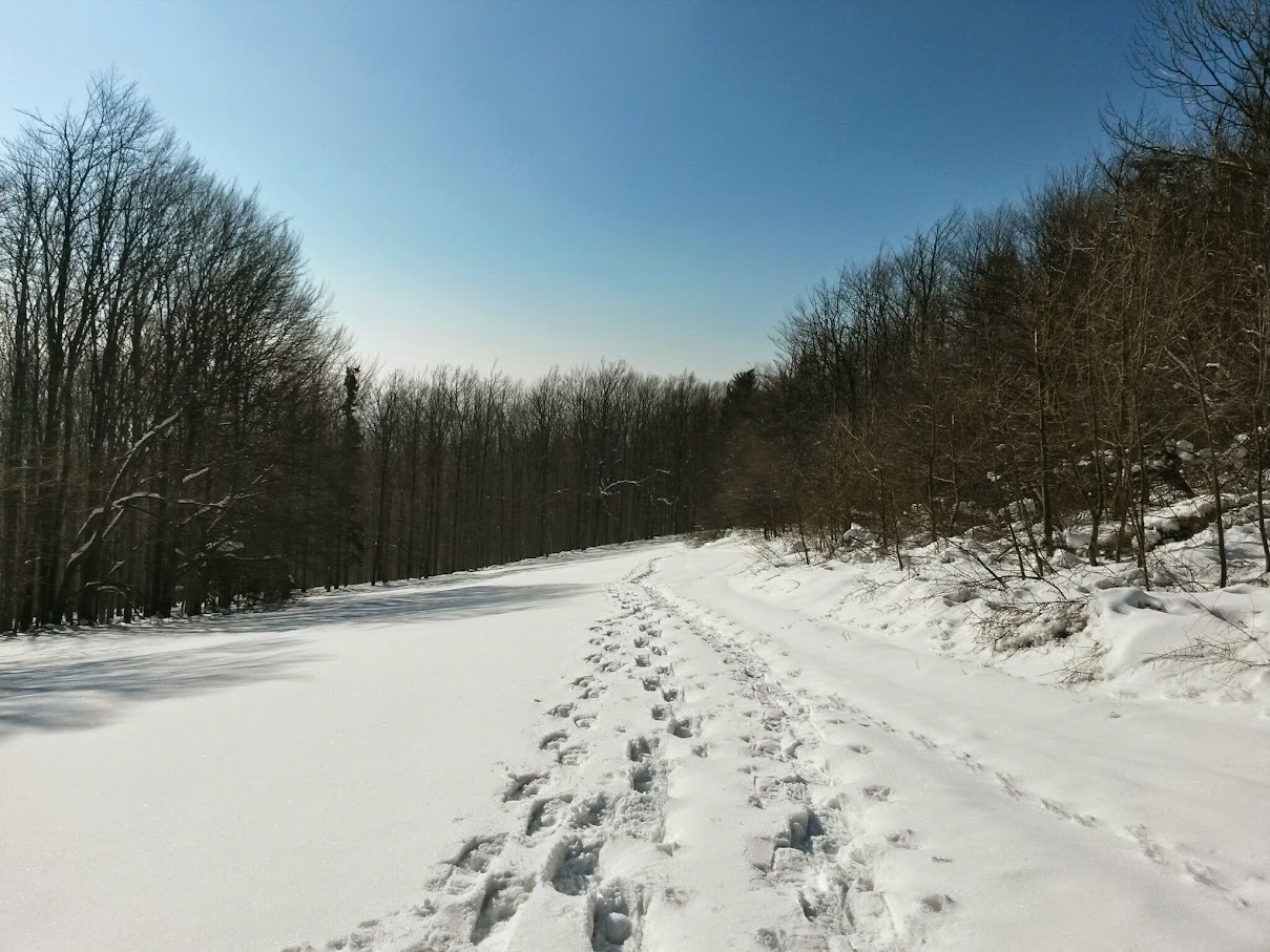 lh4.googleusercontent.com_-ong4ci4nnpk_vn9nrthq-xi_aaaaaaaahay_iod8gsk_dc4_w1209-h907-no_20150214_121339_richtone_28hdr_29.jpg lh4.googleusercontent.com_-ong4ci4nnpk_vn9nrthq-xi_aaaaaaaahay_iod8gsk_dc4_w1209-h907-no_20150214_121339_richtone_28hdr_29.jpg