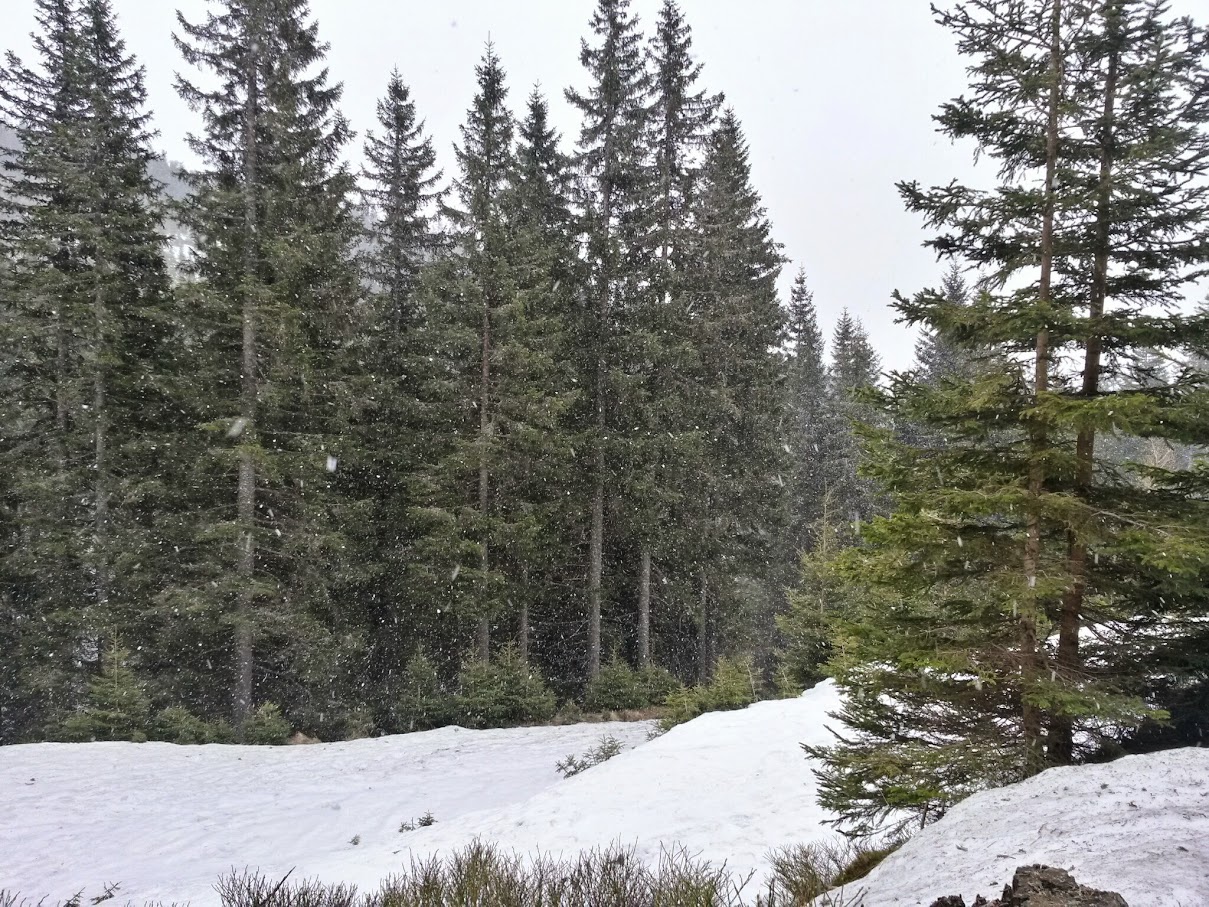 lh4.googleusercontent.com_-mepcxzbxv5y_vtkvjlqv0fi_aaaaaaaaih8_vdjxfq4_coe_w1209-h907-no_20150418_121859_richtone_28hdr_29.jpg lh4.googleusercontent.com_-mepcxzbxv5y_vtkvjlqv0fi_aaaaaaaaih8_vdjxfq4_coe_w1209-h907-no_20150418_121859_richtone_28hdr_29.jpg