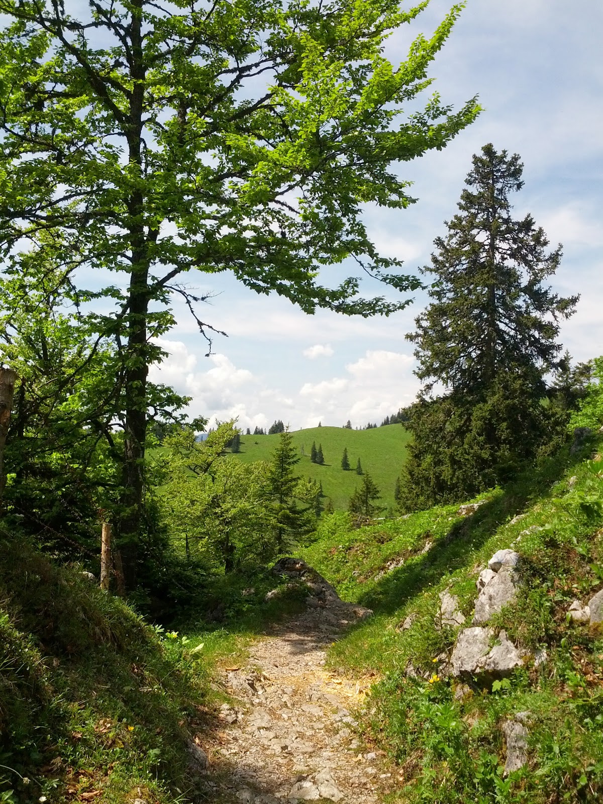 lh5.googleusercontent.com_-ch4mef4qc18_ubx8nis0yii_aaaaaaaanug_aute9vhur3g_w1200-h1600-no_img_20130615_113951.jpg lh5.googleusercontent.com_-ch4mef4qc18_ubx8nis0yii_aaaaaaaanug_aute9vhur3g_w1200-h1600-no_img_20130615_113951.jpg