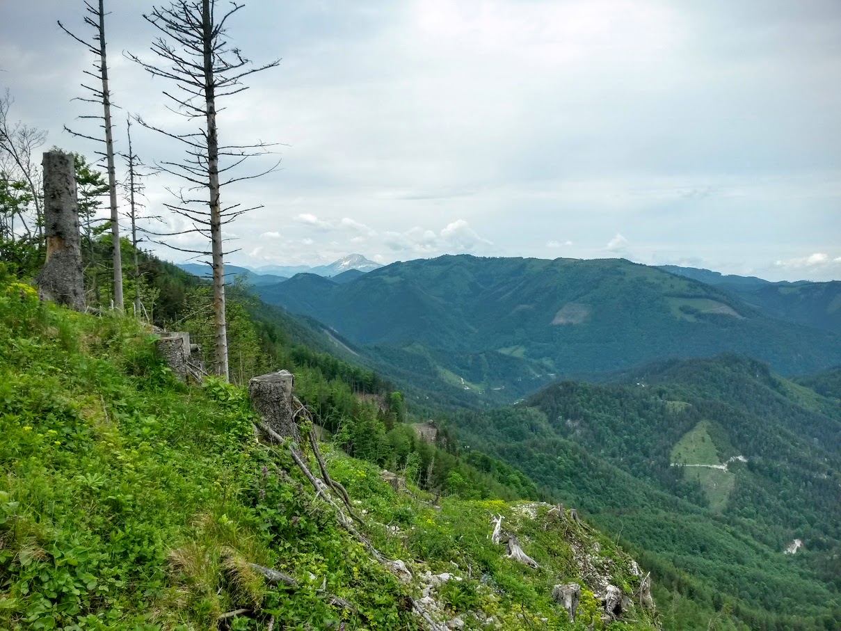 lh4.googleusercontent.com_-vvxg21eulrm_vwnums7h2ai_aaaaaaaajdk_q1kn9my09ns_w1209-h907-no_20150530_111255_richtone_2528hdr_2529.jpg lh4.googleusercontent.com_-vvxg21eulrm_vwnums7h2ai_aaaaaaaajdk_q1kn9my09ns_w1209-h907-no_20150530_111255_richtone_2528hdr_2529.jpg