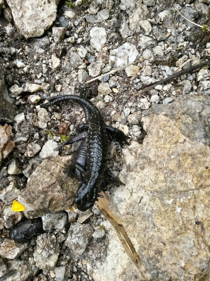 lh4.googleusercontent.com_-7fsx-ektvpm_vaqcfkm8i_i_aaaaaaaamug_kx0d8m6mglg_w680-h907-no_20150718_085056_richtone_2528hdr_2529.jpg lh4.googleusercontent.com_-7fsx-ektvpm_vaqcfkm8i_i_aaaaaaaamug_kx0d8m6mglg_w680-h907-no_20150718_085056_richtone_2528hdr_2529.jpg