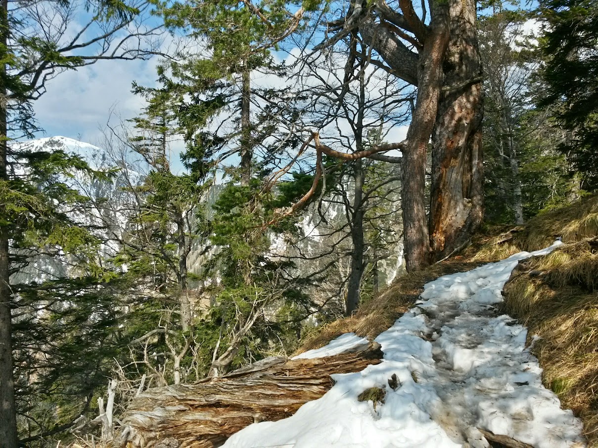 lh4.googleusercontent.com_-pzdswl92d04_vsqtwcdyipi_aaaaaaaaiwi_n1mznqrin0c_w1209-h907-no_20150411_105739_richtone_28hdr_29.jpg lh4.googleusercontent.com_-pzdswl92d04_vsqtwcdyipi_aaaaaaaaiwi_n1mznqrin0c_w1209-h907-no_20150411_105739_richtone_28hdr_29.jpg