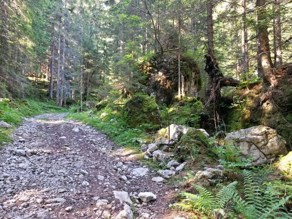 lh6.googleusercontent.com_-tfg55oazt3w_u5r_warx7ui_aaaaaaaazem_htady0ispdy_w1200-h900-no_20140608_091321_richtone_2528hdr_2529.jpg lh6.googleusercontent.com_-tfg55oazt3w_u5r_warx7ui_aaaaaaaazem_htady0ispdy_w1200-h900-no_20140608_091321_richtone_2528hdr_2529.jpg