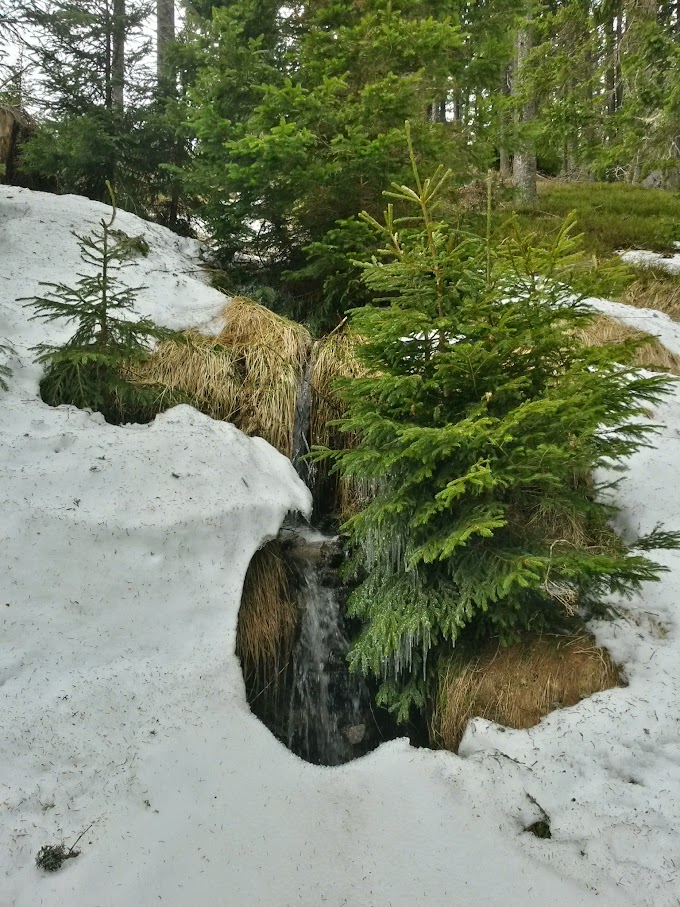 lh4.googleusercontent.com_-8lhyjbhz-2g_vtkvev-pfvi_aaaaaaaaihy_z4hmr44tt3y_w680-h907-no_20150418_120032_richtone_28hdr_29.jpg lh4.googleusercontent.com_-8lhyjbhz-2g_vtkvev-pfvi_aaaaaaaaihy_z4hmr44tt3y_w680-h907-no_20150418_120032_richtone_28hdr_29.jpg