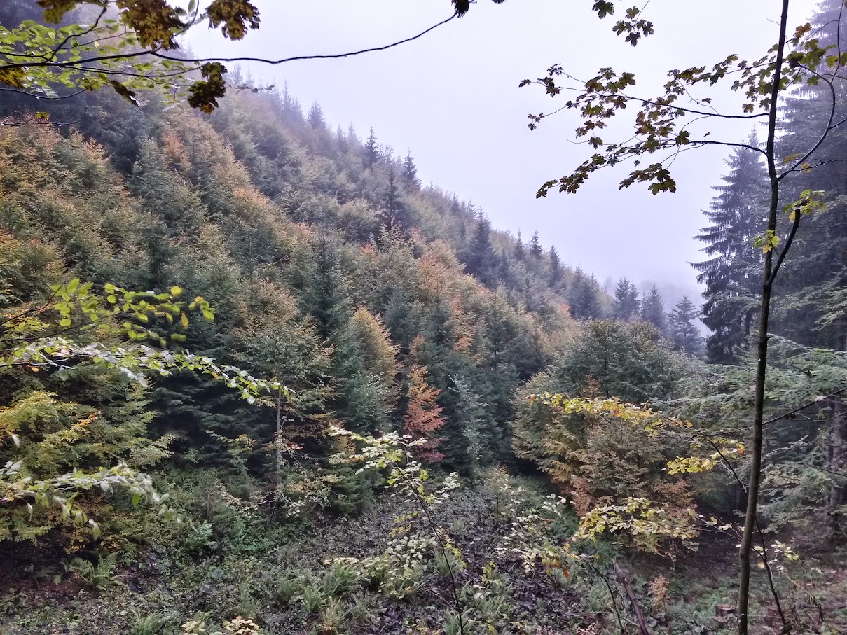 lh4.googleusercontent.com_-whlvs9q_6py_vhkemeo3nqi_aaaaaaaaosg_jpqesrcezbi_w1209-h907-no_20151010_114810_richtone_2528hdr_2529.jpg lh4.googleusercontent.com_-whlvs9q_6py_vhkemeo3nqi_aaaaaaaaosg_jpqesrcezbi_w1209-h907-no_20151010_114810_richtone_2528hdr_2529.jpg