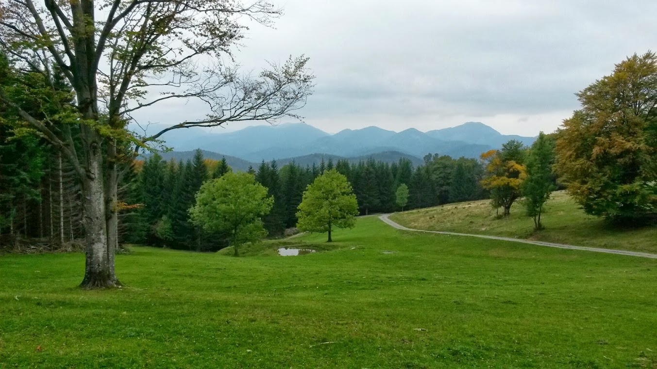 lh6.googleusercontent.com_-2wbpqzs5sly_ukgklevomli_aaaaaaaaqtu_8nk85ws4b2i_w1353-h761-no_20130929_102344.jpg lh6.googleusercontent.com_-2wbpqzs5sly_ukgklevomli_aaaaaaaaqtu_8nk85ws4b2i_w1353-h761-no_20130929_102344.jpg