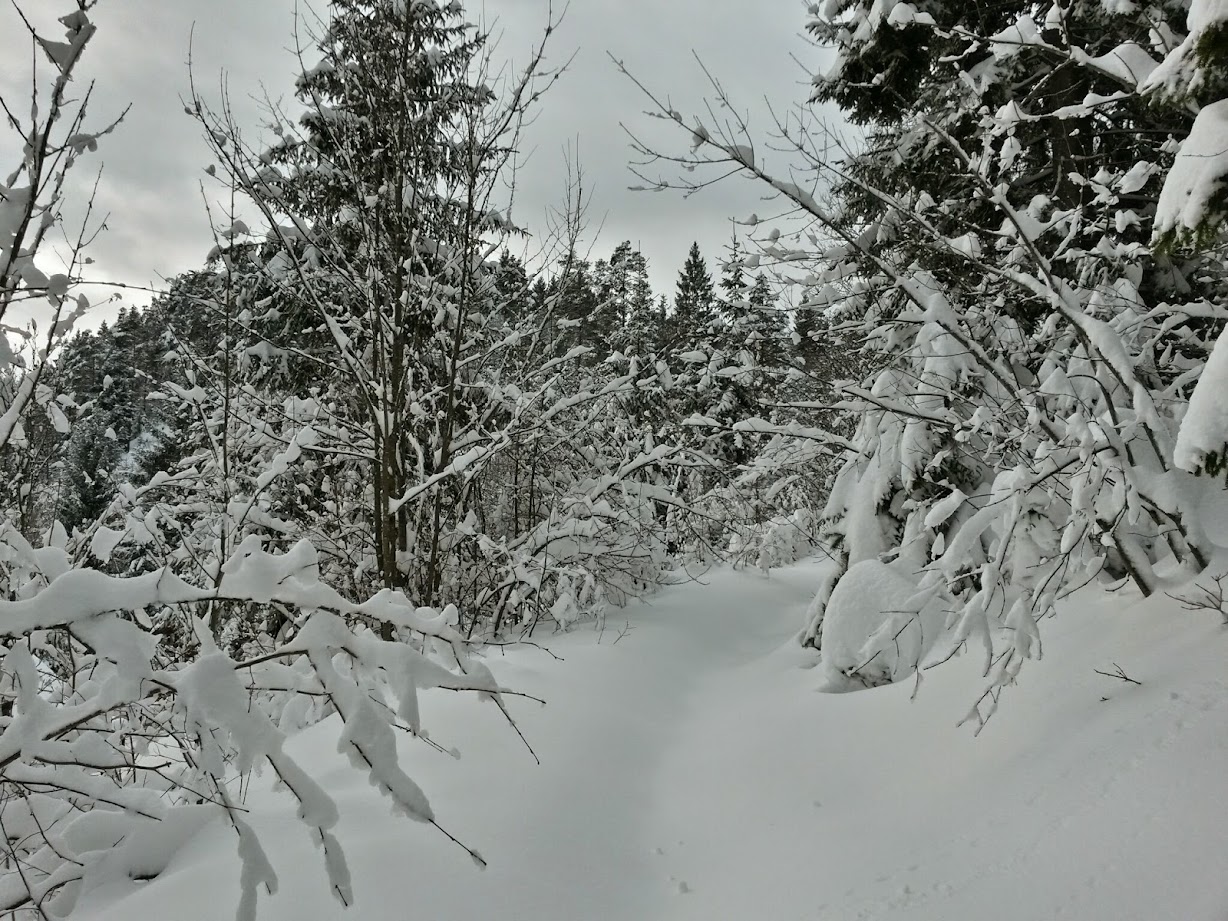 lh3.googleusercontent.com_-sac7b4tz6pc_vkvrfn7z3ui_aaaaaaaagyg_mrg1txuupd8_w1228-h921-no_20150106_113704_richtone_28hdr_29.jpg lh3.googleusercontent.com_-sac7b4tz6pc_vkvrfn7z3ui_aaaaaaaagyg_mrg1txuupd8_w1228-h921-no_20150106_113704_richtone_28hdr_29.jpg