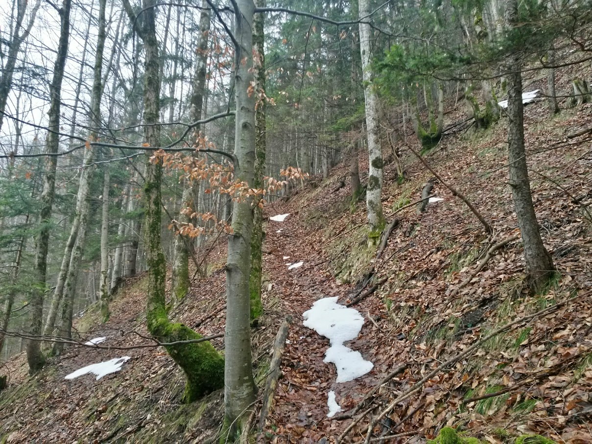 lh6.googleusercontent.com_-lioeongzkk0_vqp6ykanpli_aaaaaaaah1i_jotikwv6t4k_w1209-h907-no_20150314_100657_richtone_28hdr_29.jpg lh6.googleusercontent.com_-lioeongzkk0_vqp6ykanpli_aaaaaaaah1i_jotikwv6t4k_w1209-h907-no_20150314_100657_richtone_28hdr_29.jpg