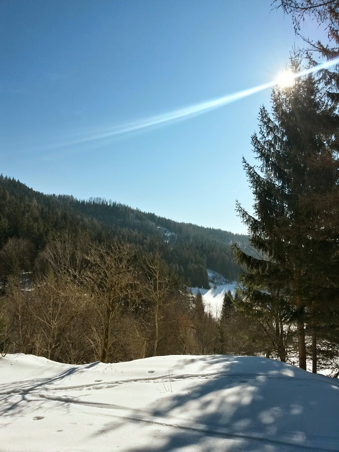 lh5.googleusercontent.com_-h-20jc-qajk_voiil8cmtii_aaaaaaaahfc_sbjhrrf5blg_w680-h907-no_20150221_102414_richtone_28hdr_29.jpg lh5.googleusercontent.com_-h-20jc-qajk_voiil8cmtii_aaaaaaaahfc_sbjhrrf5blg_w680-h907-no_20150221_102414_richtone_28hdr_29.jpg