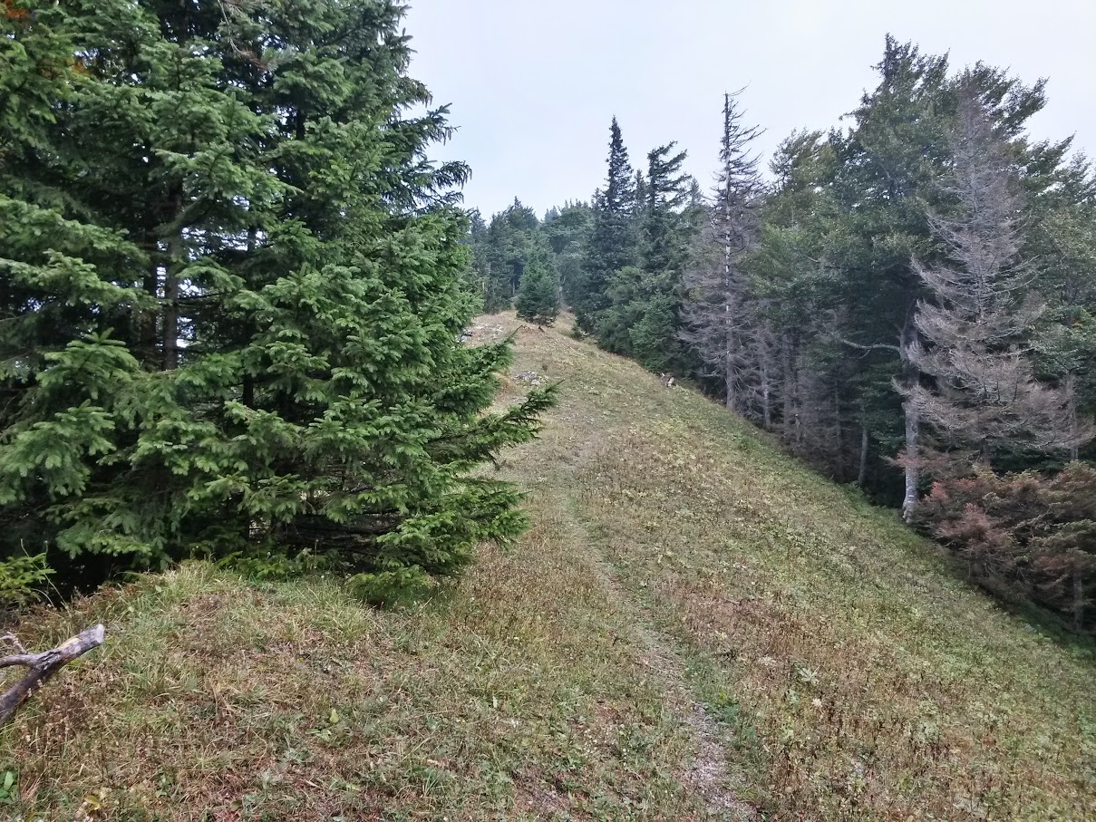 lh6.googleusercontent.com_-diqkufdqsdc_vf14qqjop8i_aaaaaaaan7m_6pnkgy_novu_w1209-h907-no_20150919_103816_richtone_2528hdr_2529.jpg lh6.googleusercontent.com_-diqkufdqsdc_vf14qqjop8i_aaaaaaaan7m_6pnkgy_novu_w1209-h907-no_20150919_103816_richtone_2528hdr_2529.jpg