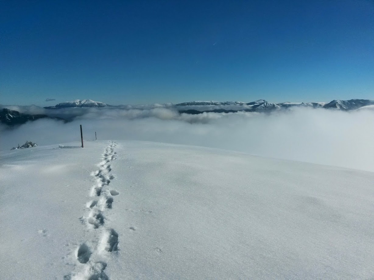 lh3.googleusercontent.com_-sanmz3czyxs_veu7rn6pmei_aaaaaaaaeby_bbces9jvzn0_w1228-h921-no_20141025_124157_richtone_28hdr_29.jpg lh3.googleusercontent.com_-sanmz3czyxs_veu7rn6pmei_aaaaaaaaeby_bbces9jvzn0_w1228-h921-no_20141025_124157_richtone_28hdr_29.jpg