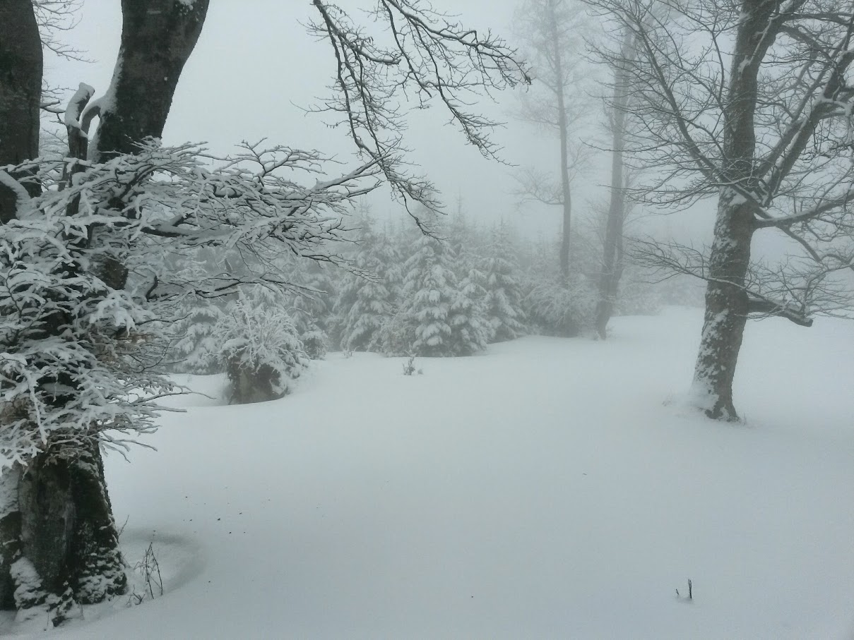 lh6.googleusercontent.com_-engnlqu5nle_vqqdsygjq4i_aaaaaaaah4w_-87cmjjxa2g_w1209-h907-no_20150314_122957_richtone_28hdr_29.jpg lh6.googleusercontent.com_-engnlqu5nle_vqqdsygjq4i_aaaaaaaah4w_-87cmjjxa2g_w1209-h907-no_20150314_122957_richtone_28hdr_29.jpg