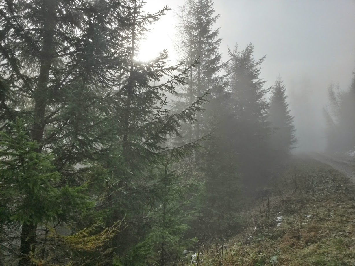 lh5.googleusercontent.com_-bqr2ump6kjq_veu7xtco70i_aaaaaaaaezi_aiwxz5auspa_w1228-h921-no_20141025_102952_richtone_28hdr_29.jpg lh5.googleusercontent.com_-bqr2ump6kjq_veu7xtco70i_aaaaaaaaezi_aiwxz5auspa_w1228-h921-no_20141025_102952_richtone_28hdr_29.jpg