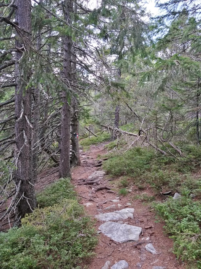 lh4.googleusercontent.com_-4wecppjogiy_vfraj4dse6i_aaaaaaaan0i_ggjeyylluko_w680-h907-no_20150912_144746_richtone_2528hdr_2529.jpg lh4.googleusercontent.com_-4wecppjogiy_vfraj4dse6i_aaaaaaaan0i_ggjeyylluko_w680-h907-no_20150912_144746_richtone_2528hdr_2529.jpg