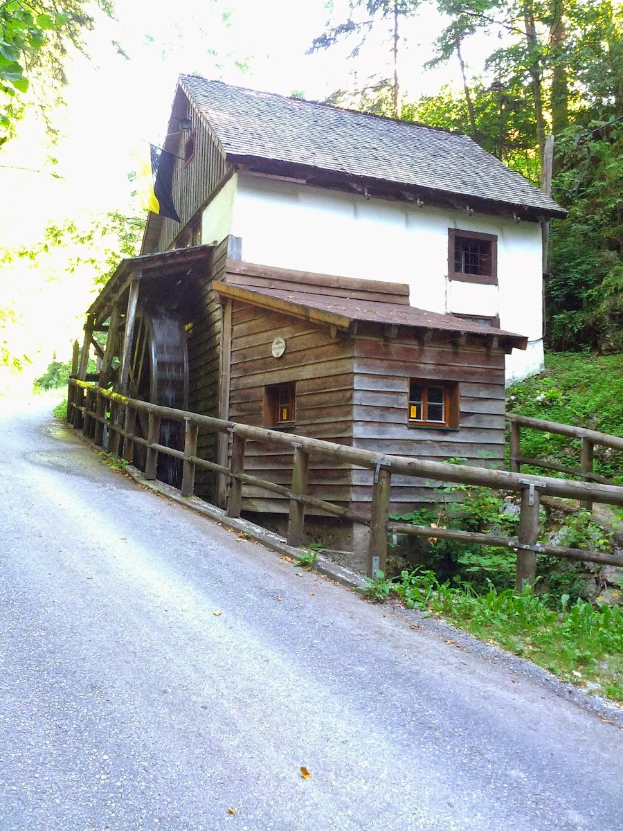 lh4.googleusercontent.com_-7trkciv7u6e_ufztgyieg7i_aaaaaaaapr4_zllglilvn-i_w900-h1200-no_img_20130803_081253.jpg lh4.googleusercontent.com_-7trkciv7u6e_ufztgyieg7i_aaaaaaaapr4_zllglilvn-i_w900-h1200-no_img_20130803_081253.jpg