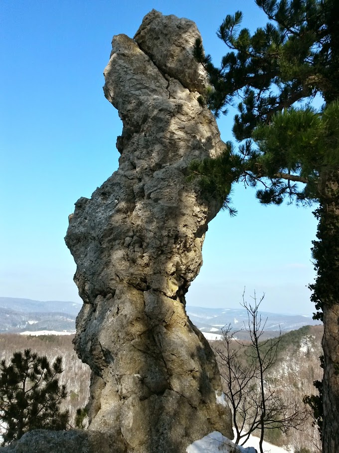 lh6.googleusercontent.com_-4cbn5igoru8_vnywp1jlzni_aaaaaaaahts_3qlffl1eisc_w680-h907-no_20150207_113250_richtone_28hdr_29.jpg lh6.googleusercontent.com_-4cbn5igoru8_vnywp1jlzni_aaaaaaaahts_3qlffl1eisc_w680-h907-no_20150207_113250_richtone_28hdr_29.jpg