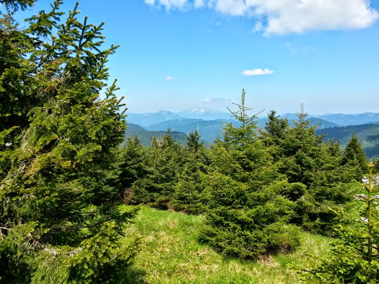 lh4.googleusercontent.com_-pn4hafpbddm_vxl_q4_fsti_aaaaaaaaj0i_s5yngcll-ru_w1209-h907-no_20150606_105025_richtone_2528hdr_2529.jpg lh4.googleusercontent.com_-pn4hafpbddm_vxl_q4_fsti_aaaaaaaaj0i_s5yngcll-ru_w1209-h907-no_20150606_105025_richtone_2528hdr_2529.jpg