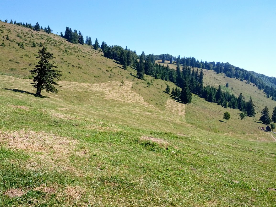 lh3.googleusercontent.com_-qqz6pjrubyq_ufzuxbswsmi_aaaaaaaapt8_qu4yg90duoc_w1155-h866-no_img_20130803_103726.jpg lh3.googleusercontent.com_-qqz6pjrubyq_ufzuxbswsmi_aaaaaaaapt8_qu4yg90duoc_w1155-h866-no_img_20130803_103726.jpg