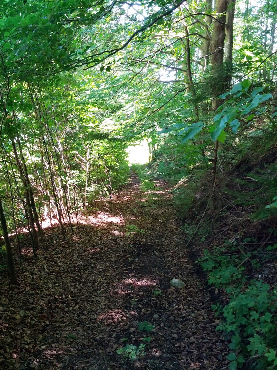 lh6.googleusercontent.com_-pszuc2gepsk_ueva14qruhi_aaaaaaaaop8_pmgw5jxx8bs_w900-h1200-no_img_20130721_113826.jpg lh6.googleusercontent.com_-pszuc2gepsk_ueva14qruhi_aaaaaaaaop8_pmgw5jxx8bs_w900-h1200-no_img_20130721_113826.jpg