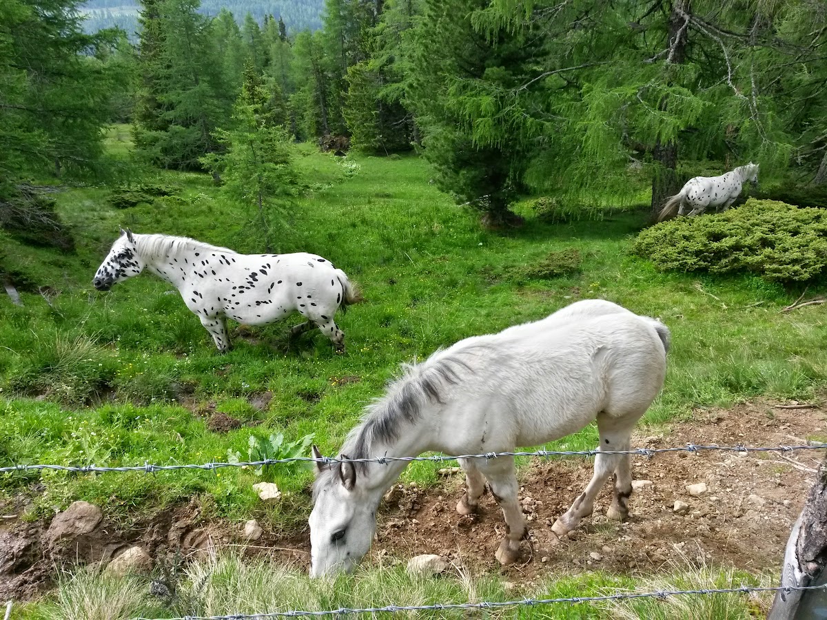 lh3.googleusercontent.com_-rmshwmdw9mi_vxyryp6c2fi_aaaaaaaaknm_uzrpqvakgqu_w1200-h900-no_20150613_091054_richtone_2528hdr_2529.jpg lh3.googleusercontent.com_-rmshwmdw9mi_vxyryp6c2fi_aaaaaaaaknm_uzrpqvakgqu_w1200-h900-no_20150613_091054_richtone_2528hdr_2529.jpg