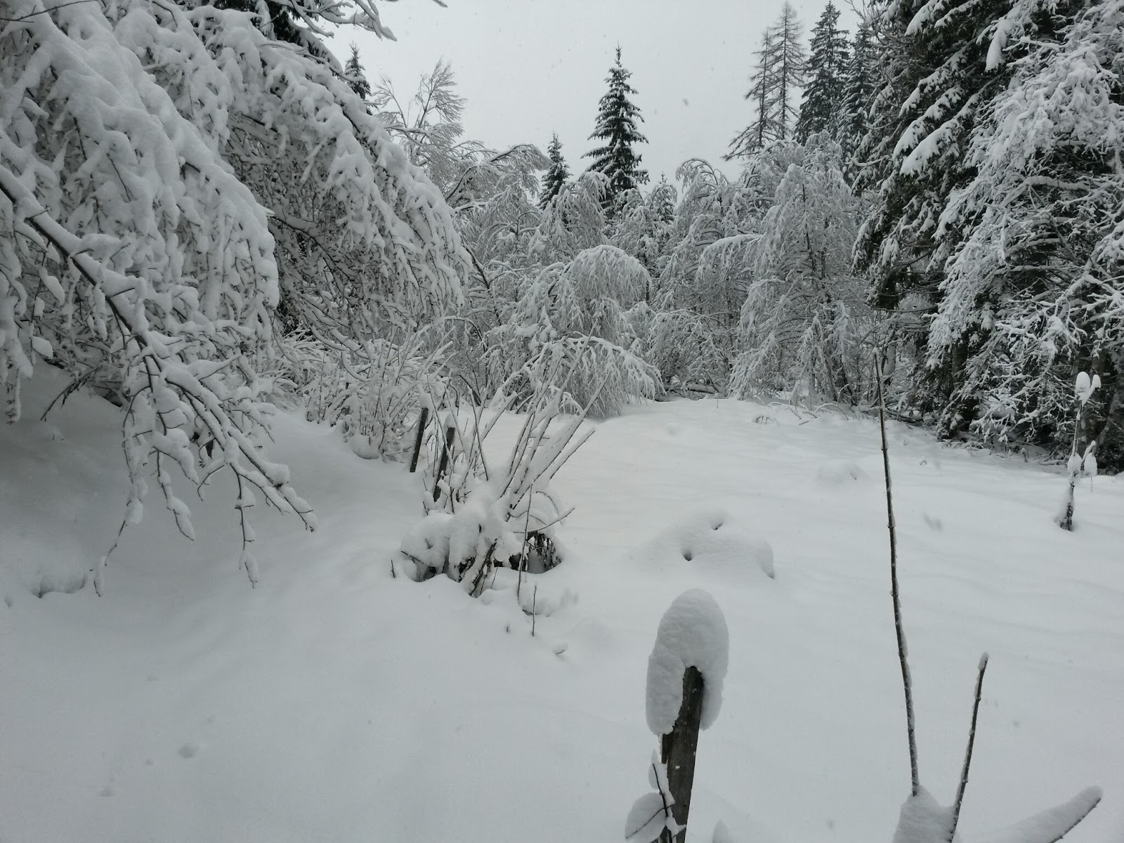 lh4.googleusercontent.com_-qozbrb0gzfc_uqmw4g1ssai_aaaaaaaatao_jtj95xjneky_w1600-h1200-no_20131207_103954_richtone_2528hdr_2529.jpg lh4.googleusercontent.com_-qozbrb0gzfc_uqmw4g1ssai_aaaaaaaatao_jtj95xjneky_w1600-h1200-no_20131207_103954_richtone_2528hdr_2529.jpg