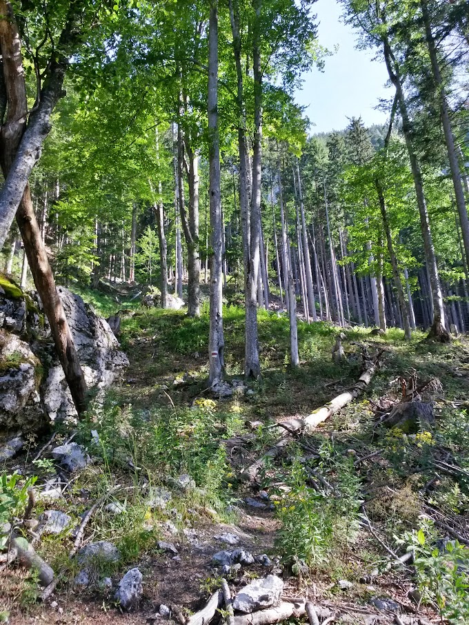 lh6.googleusercontent.com_-70ugsc28-ae_vbzeve9vixi_aaaaaaaam9k_fhm8jej_tvc_w680-h907-no_20150801_084039_richtone_2528hdr_2529.jpg lh6.googleusercontent.com_-70ugsc28-ae_vbzeve9vixi_aaaaaaaam9k_fhm8jej_tvc_w680-h907-no_20150801_084039_richtone_2528hdr_2529.jpg