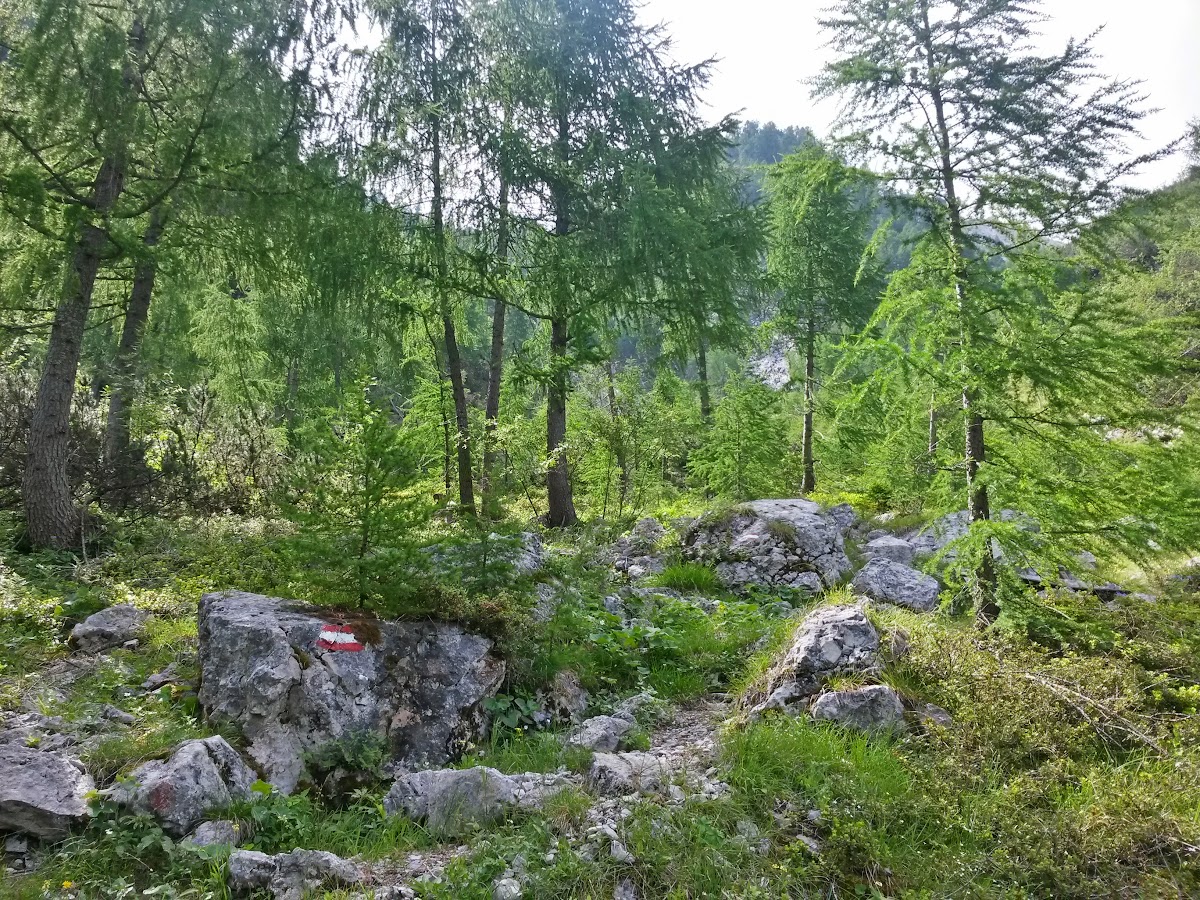 lh5.googleusercontent.com_-u_tcadzfsi0_vygvs_xhydi_aaaaaaaambk_zp7a_hi75vm_w1200-h900-no_20150622_110736_richtone_2528hdr_2529.jpg lh5.googleusercontent.com_-u_tcadzfsi0_vygvs_xhydi_aaaaaaaambk_zp7a_hi75vm_w1200-h900-no_20150622_110736_richtone_2528hdr_2529.jpg