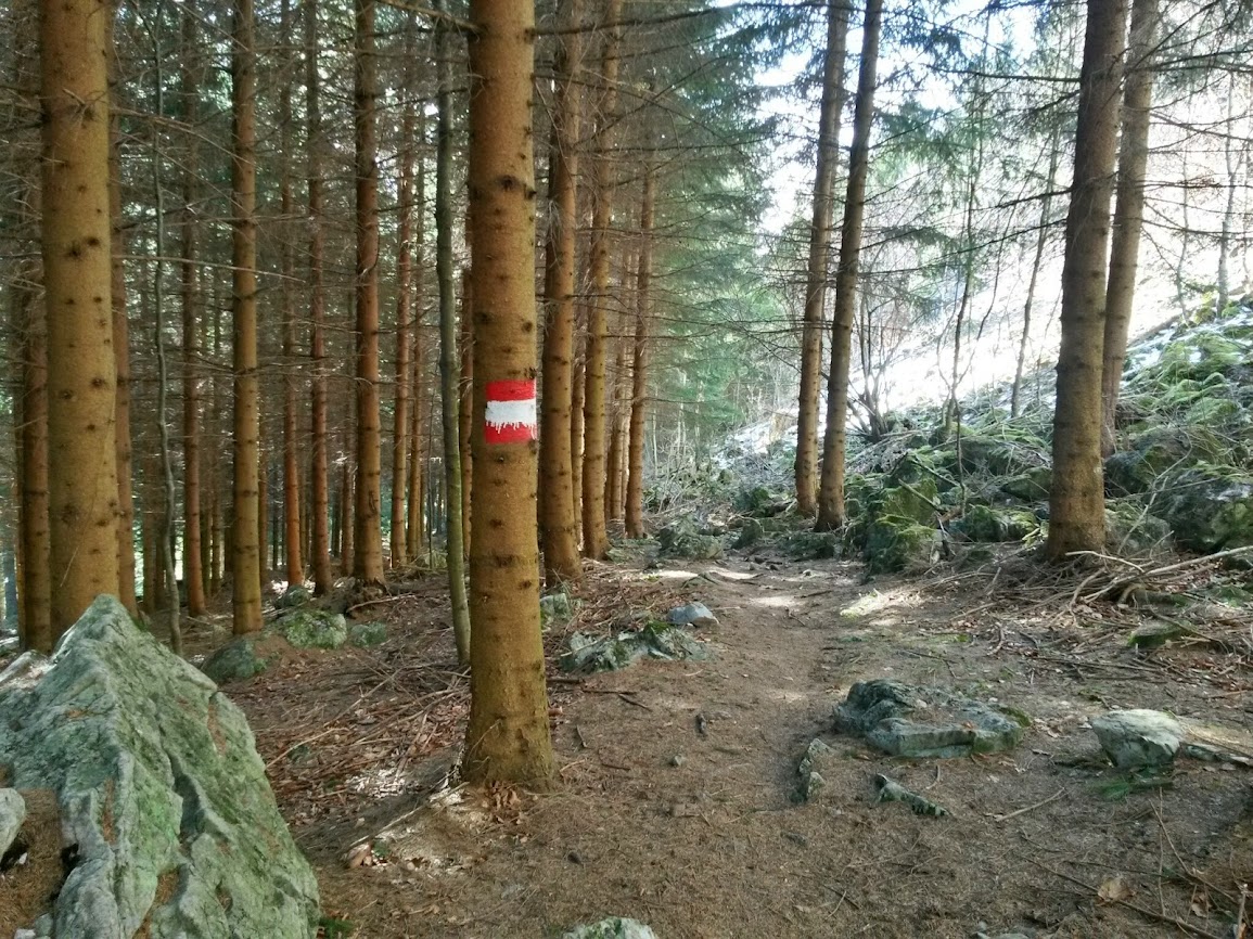 lh5.googleusercontent.com_-wngbs_1p8nm_uv_dn7q7o2i_aaaaaaaavsa_dze2qzaudjq_w1155-h866-no_20140215_132417_richtone_2528hdr_2529.jpg lh5.googleusercontent.com_-wngbs_1p8nm_uv_dn7q7o2i_aaaaaaaavsa_dze2qzaudjq_w1155-h866-no_20140215_132417_richtone_2528hdr_2529.jpg