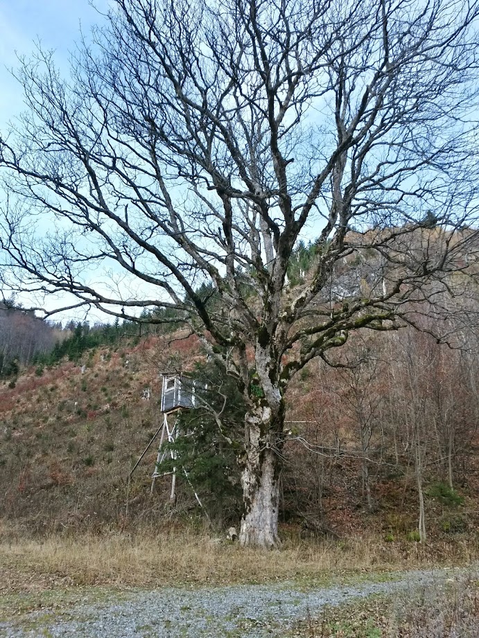 lh3.googleusercontent.com_-z1n6ecwdmfs_vgdse0wreoi_aaaaaaaae44_rdp1-uzzcxk_w691-h921-no_20141115_103638_richtone_28hdr_29.jpg lh3.googleusercontent.com_-z1n6ecwdmfs_vgdse0wreoi_aaaaaaaae44_rdp1-uzzcxk_w691-h921-no_20141115_103638_richtone_28hdr_29.jpg