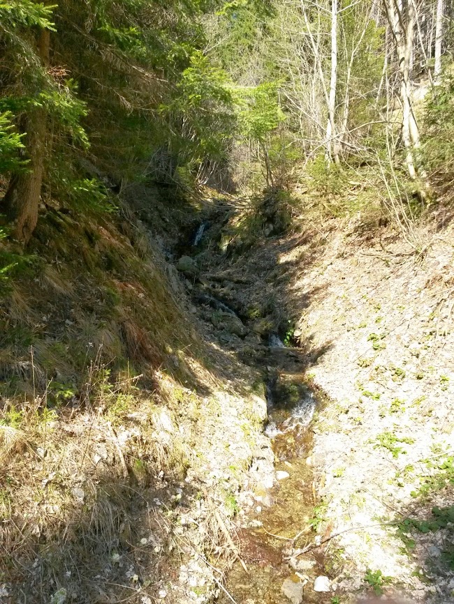 lh4.googleusercontent.com_-6fmza5aihie_uzbomcmqdci_aaaaaaaawe4_djuk8pngn8q_w650-h866-no_20140329_135106.jpg lh4.googleusercontent.com_-6fmza5aihie_uzbomcmqdci_aaaaaaaawe4_djuk8pngn8q_w650-h866-no_20140329_135106.jpg