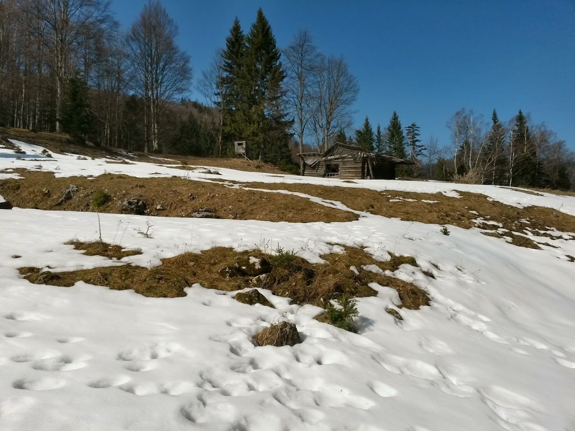 lh3.googleusercontent.com_-gapee8a3aua_uxsubjtue2i_aaaaaaaavrm_pddb-glzksk_w1155-h866-no_20140308_124046_richtone_2528hdr_2529.jpg lh3.googleusercontent.com_-gapee8a3aua_uxsubjtue2i_aaaaaaaavrm_pddb-glzksk_w1155-h866-no_20140308_124046_richtone_2528hdr_2529.jpg