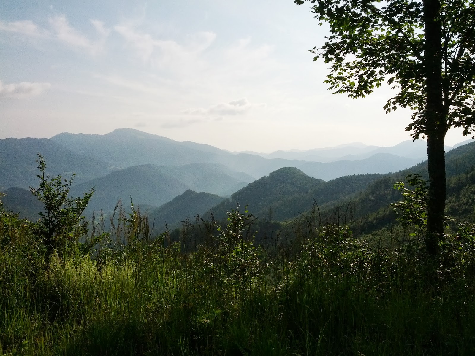 lh3.googleusercontent.com_-lhcqljw5ara_ueqvfmkoyzi_aaaaaaaaoeg_37stkiui0ek_w1600-h1200-no_img_20130720_083003.jpg lh3.googleusercontent.com_-lhcqljw5ara_ueqvfmkoyzi_aaaaaaaaoeg_37stkiui0ek_w1600-h1200-no_img_20130720_083003.jpg