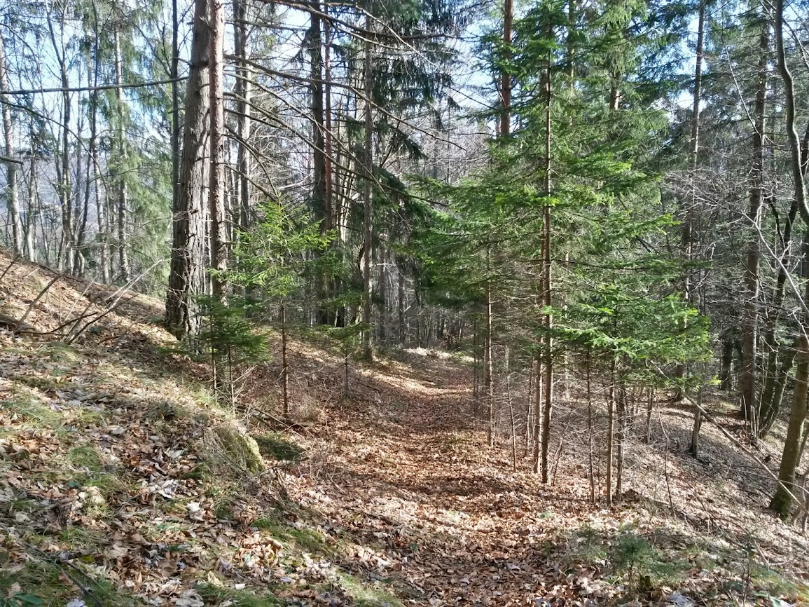 lh3.googleusercontent.com_-b-qmg-6cqek_uvzl4vanjni_aaaaaaaavjm_fhzg7arbtqs_w1155-h866-no_20140208_133233_richtone_2528hdr_2529.jpg lh3.googleusercontent.com_-b-qmg-6cqek_uvzl4vanjni_aaaaaaaavjm_fhzg7arbtqs_w1155-h866-no_20140208_133233_richtone_2528hdr_2529.jpg