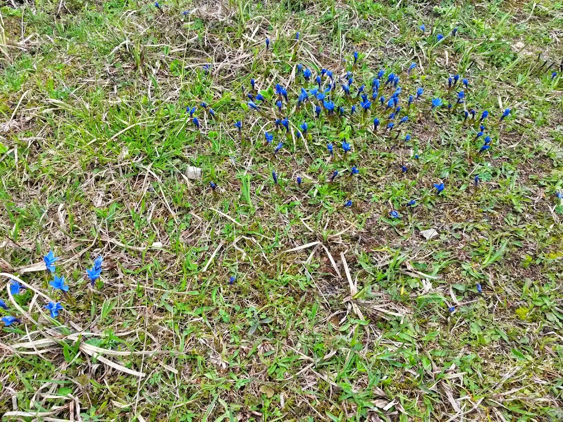 lh5.googleusercontent.com_-y6nrvv-10gi_u25bnkvfbbi_aaaaaaaaxj0_u1ttnxj3xmi_w1155-h866-no_20140510_115149_richtone_2528hdr_2529.jpg lh5.googleusercontent.com_-y6nrvv-10gi_u25bnkvfbbi_aaaaaaaaxj0_u1ttnxj3xmi_w1155-h866-no_20140510_115149_richtone_2528hdr_2529.jpg